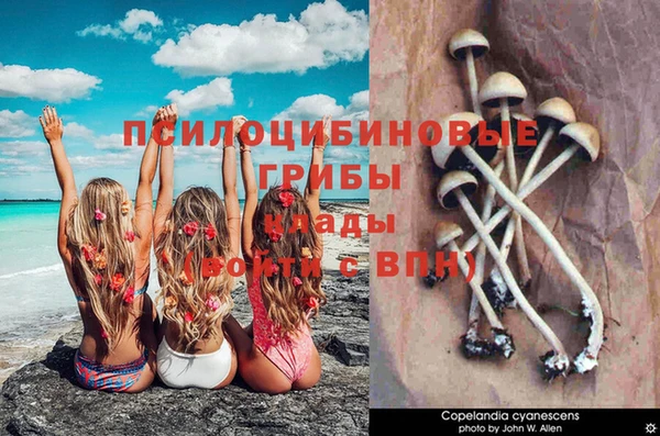 амф Пестово