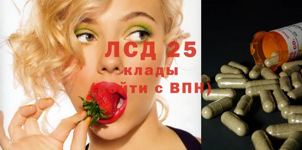 mdpv Пересвет