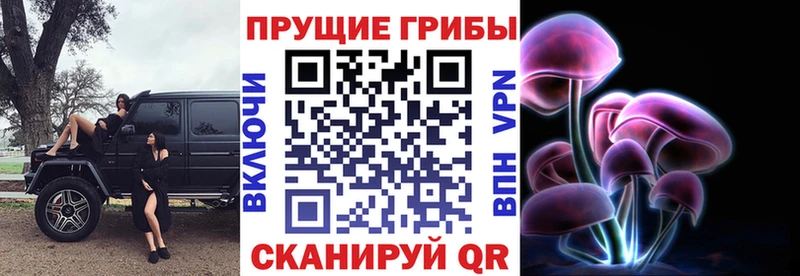Галлюциногенные грибы мухоморы  МЕГА ССЫЛКА  Шахунья 